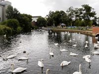 Wellingborough Embankment